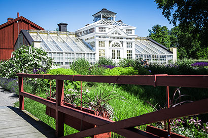Växthus